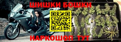 шишки Абинск