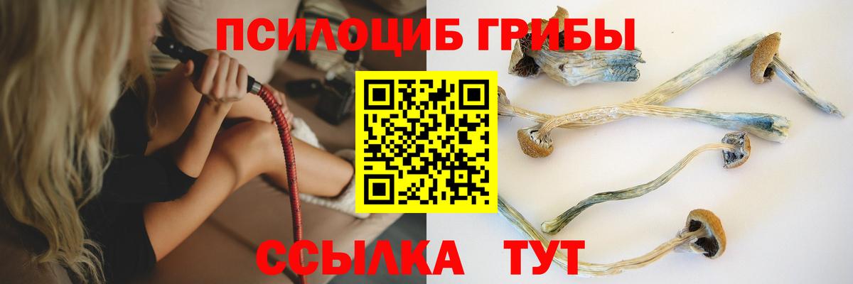 Артёмовский  Галлюциногенные грибы мицелий  Вход с VPN  Псилоцибиновые грибы Psilocybe 